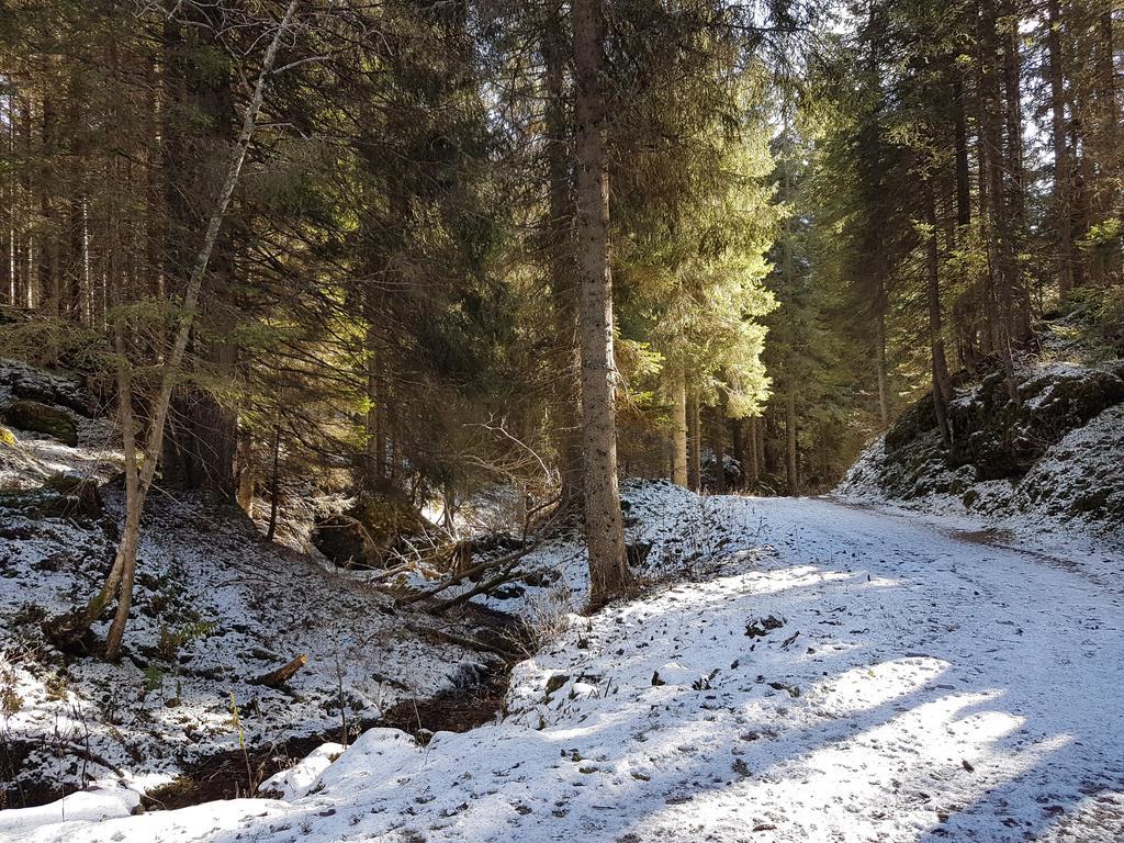 Villa Elena B&B Hotel San Martino Di Castrozza Zewnętrze zdjęcie